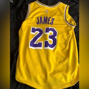 NBA real fanatics “LeBron James” Lakers jersey